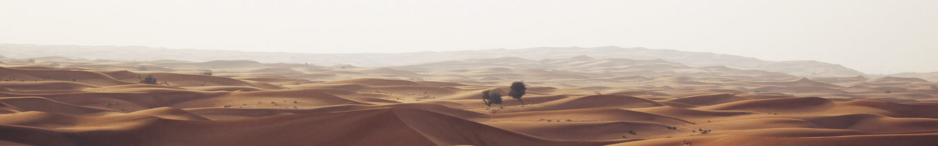 ںϿƼ޹˾